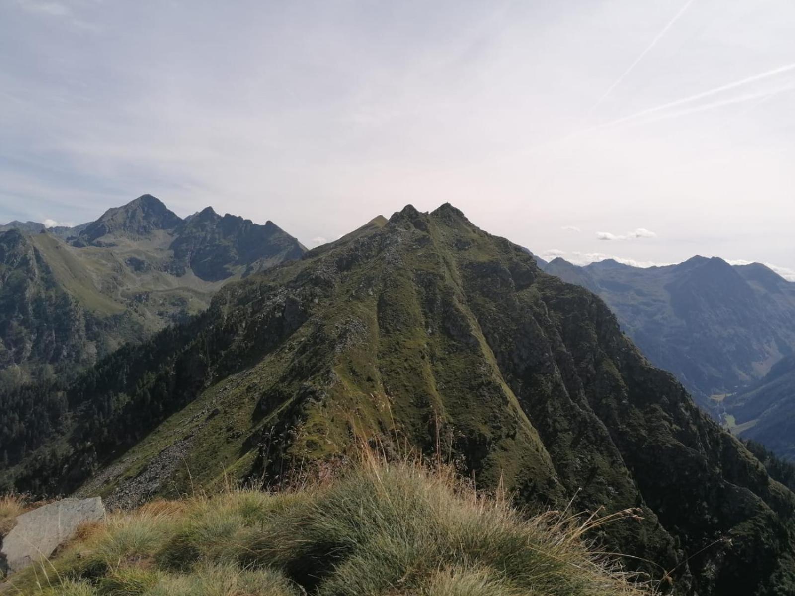 Appartementhaus Alma Zewnętrze zdjęcie